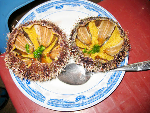 Ở Việt Nam, cầu gai có nhiều ở các vùng biển Khánh Hòa, Ninh Thuận, Bình Thuận, Phú Quốc. Người ta thường chế biến cầu gai thành nhiều món ăn ngon, như cầu gai ăn sống với cải bẹ xanh, mù tạt, cầu gai nấu cháo, cầu gai nướng mỡ hành.