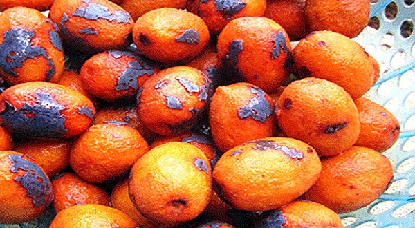 Om cọ cũng là một nghệ thuật. Người ta không om cọ khi nước sôi sùng sục, vì như thế quả cọ sẽ vì nhiệt độ quá nóng mà teo đi, quắt lại, ăn cứng và chát. Cọ cũng không thể om quá lâu, khi mặt nước nổi những váng màu vàng, cọ từ màu xanh sậm chuyển sang màu vàng là được.