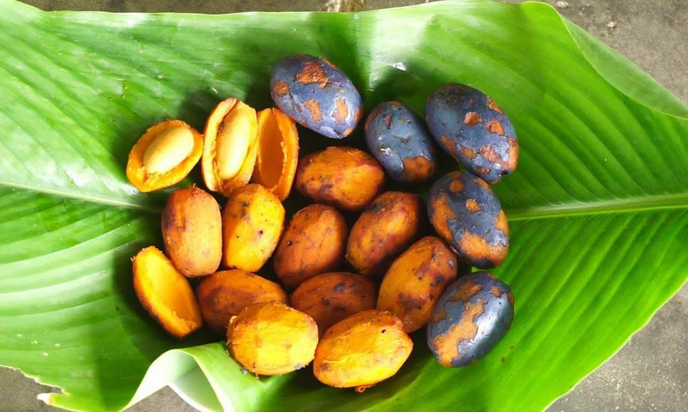 Cọ kho cá: Người ta có thể dùng cọ ỏm đem kho cá, nêm gia vị ăn cũng rất lạ.