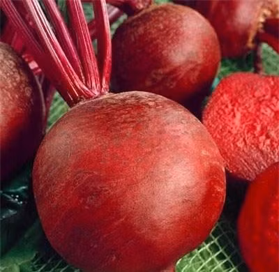 Những thực phẩm tốt cho mùa lạnh - Hình 5 Nhung thuc pham tot cho mua lanh-Hinh-5