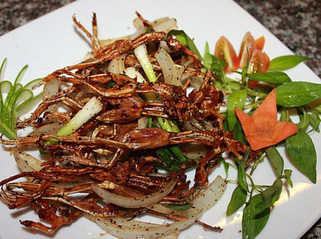 Giá nhái khô hiện thời 540.000 đồng/kg, còn vào dịp Tết khô nhái lên 650.000 đồng/kg mà không có hàng để bán. Ảnh: Dân Việt, GĐVN, Internet.