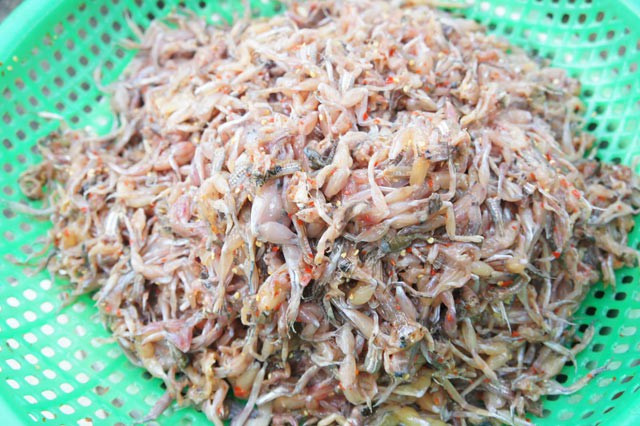 Nhái sau khi làm sạch, lột da, được tẩm ướp gia vị. Bí quyết để món đặc sản miền Tây thơm ngon nằm ở khâu này.