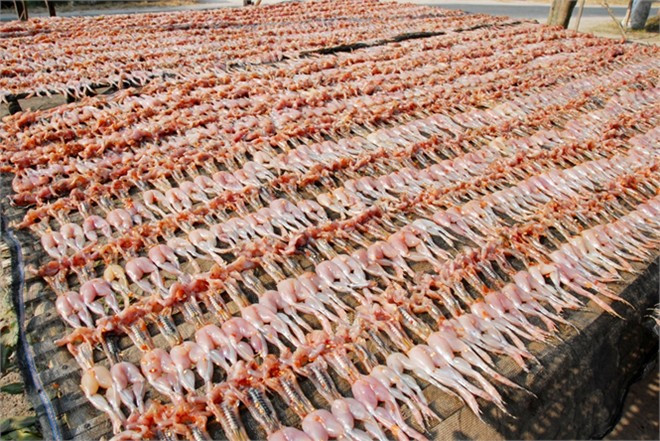 Làng làm khô nhái ở ấp Vĩnh Hạ, xã Vĩnh Trung, huyện Tịnh Biên (An Giang) có hơn 50 hộ chuyên sống bằng nghề soi nhái đem về làm khô. Nhái cơm con nhỏ, sau khi lột da, phơi khô chỉ còn bằng ngón tay.