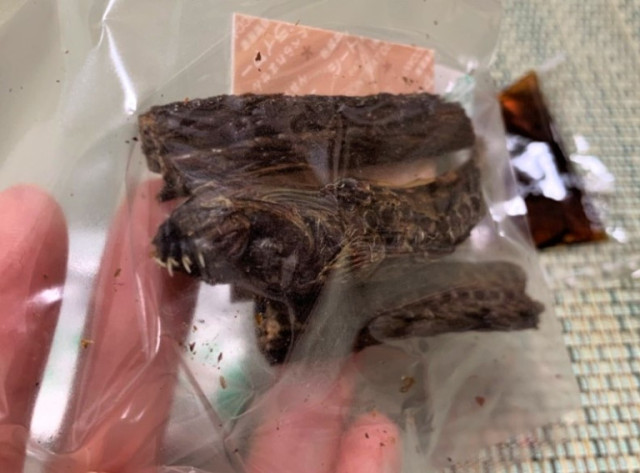 Khách hàng có thể mua tươi hoặc mua các con đã được sấy khô đóng trong túi lion có bán ở các cửa hàng ở Saga. Ảnh: Internet.