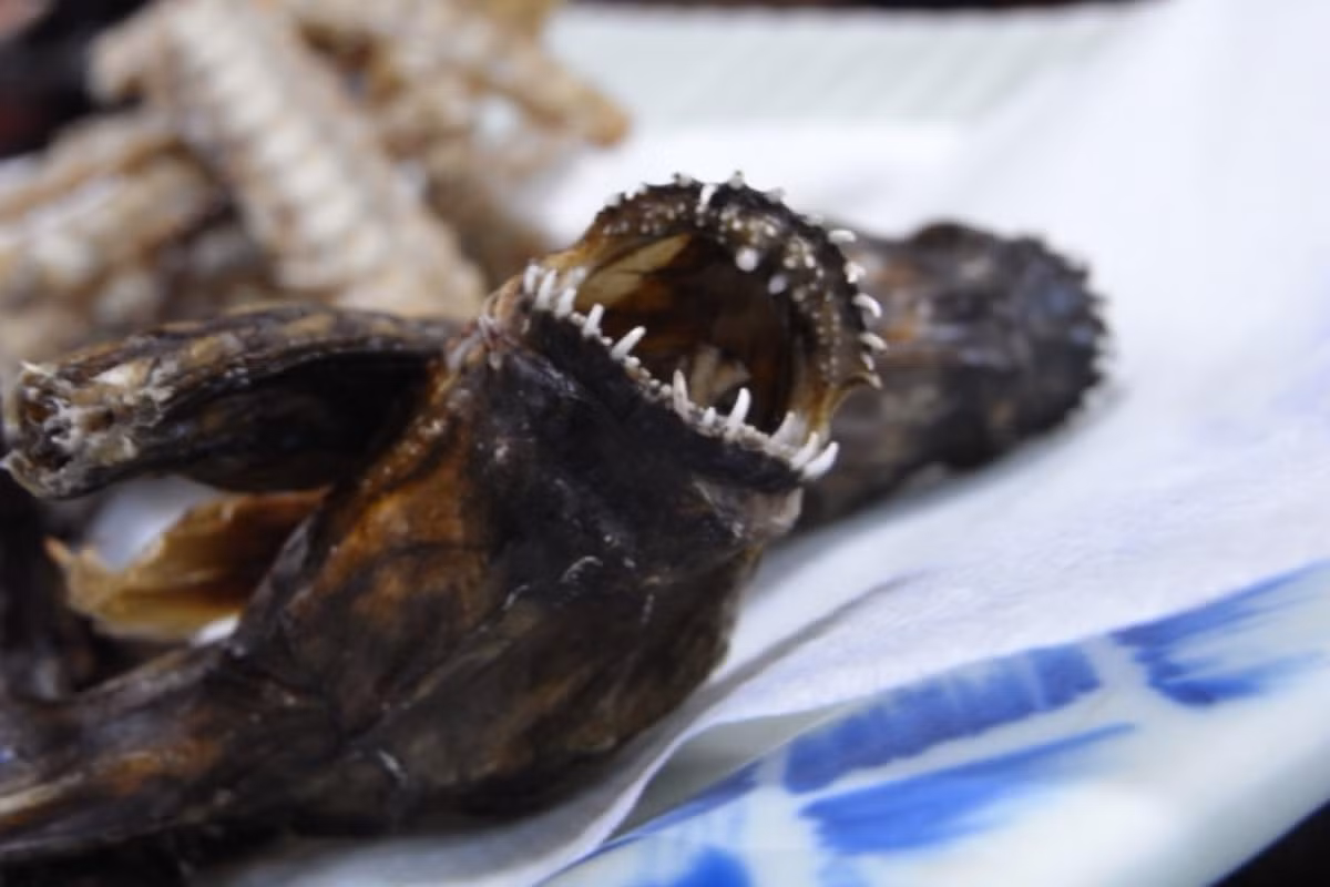 Loài cá này được coi như một loại đồ nhắm. Khi càng nhai lâu, chúng càng tiết ra hương vị ngon khiến nhiều người thích.