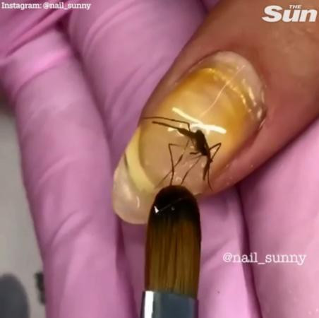 Nhìn xác những con muỗi chết được sơn móng tay đè lên trên trông thật ghê rợn.