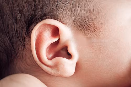 Theo chuyên gia y sinh học Ralph Holm cho biết, tai ngoài của con người lớn đồng nghĩa với ống tai lớn, nghe rõ hơn. Do đó rất ít người tai lớn về sau lão hoá lại bị điếc. Về lý thuyết, trẻ em tai lớn luôn thính tai hơn vì nó thu thập sóng âm thanh ở khu vực rộng lớn hơn.