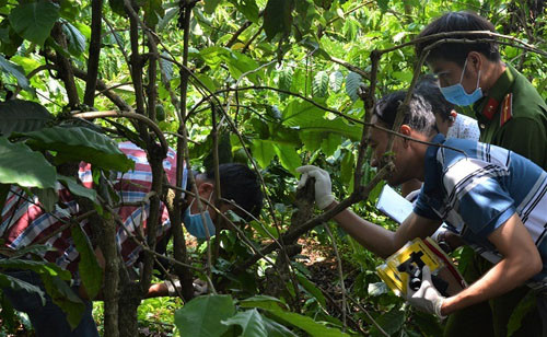 3 ba chau bi sat hai: Chong va con trai nghi pham khai gi?-Hinh-2