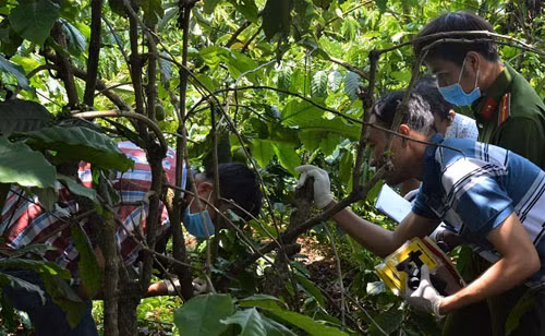 3 ba chau bi sat hai: Chong va con trai nghi pham khai gi?-Hinh-2