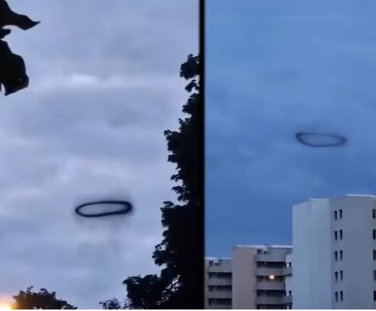 Một số người tin rằng, những vòng tròn đen bí ẩn đó có thể là UFO của người ngoài hành tinh.