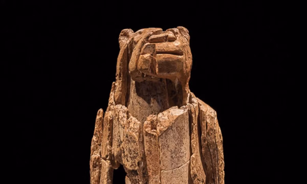 Điều khiến giới nghiên cứu tranh luận gay gắt là bức tượng khắc họa hình ảnh nam hay nữ. Sở dĩ họ chưa thể tìm ra lời giải chính xác cho bí ẩn này là vì ở phần bụng của bức tượng bị mất một đoạn nhỏ. Điều này làm họ gặp khó khăn trong việc xác định giới tính của bức tượng.