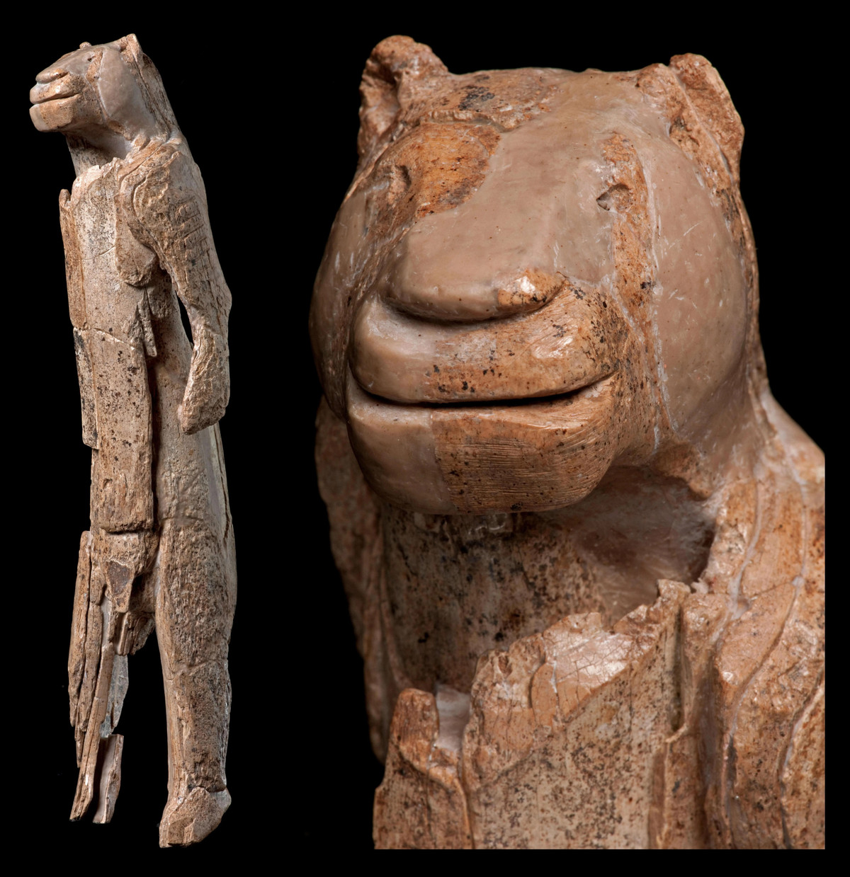 Tuy nhiên, một số nhà nghiên cứu cho rằng, sư tử từ lâu được xem là biểu tượng của nam giới với tính cách mạnh mẽ, can đảm. Do vậy, họ suy đoán bức tượng tạc người đàn ông với chiếc đầu sư tử.