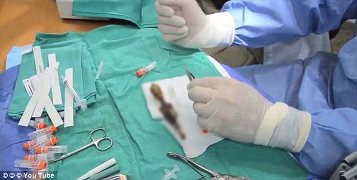 Để giải mã bí ẩn về xác ướp Ata, các nhà khoa học đã thực hiện các kiểm tra, nghiên cứu. Qua đó, họ phát hiện một số sự thật gây kinh ngạc.