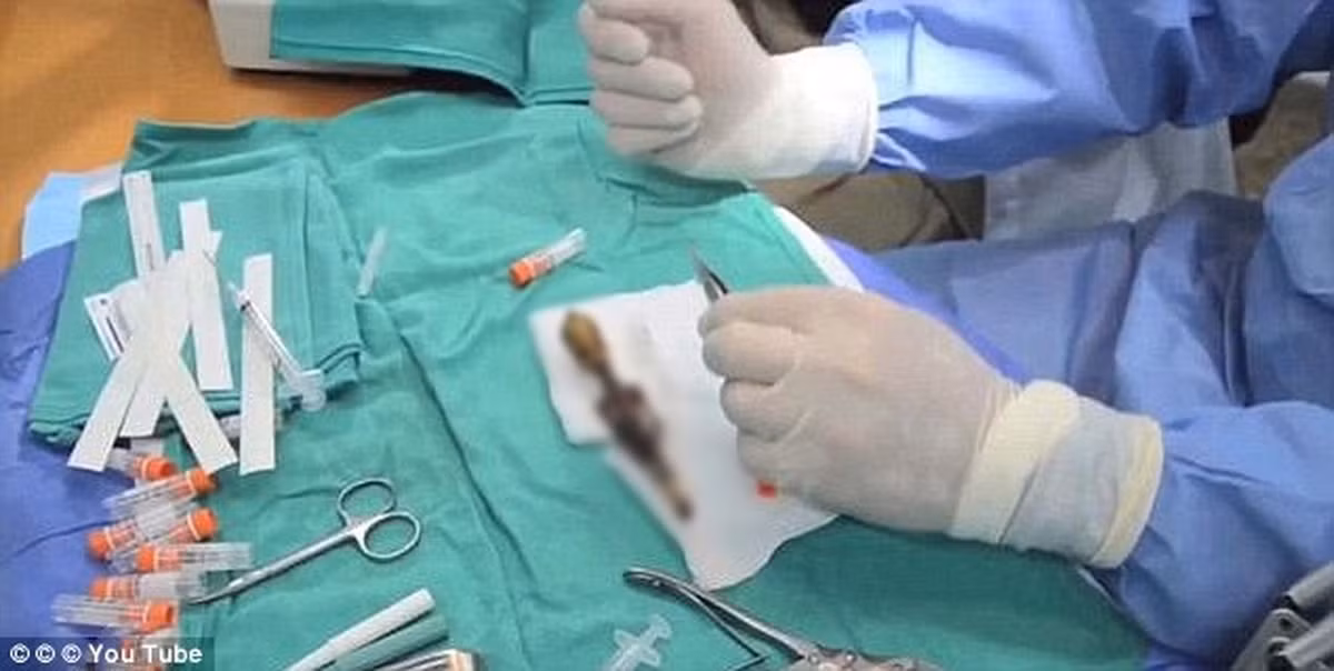 Để giải mã bí ẩn về xác ướp Ata, các nhà khoa học đã thực hiện các kiểm tra, nghiên cứu. Qua đó, họ phát hiện một số sự thật gây kinh ngạc.