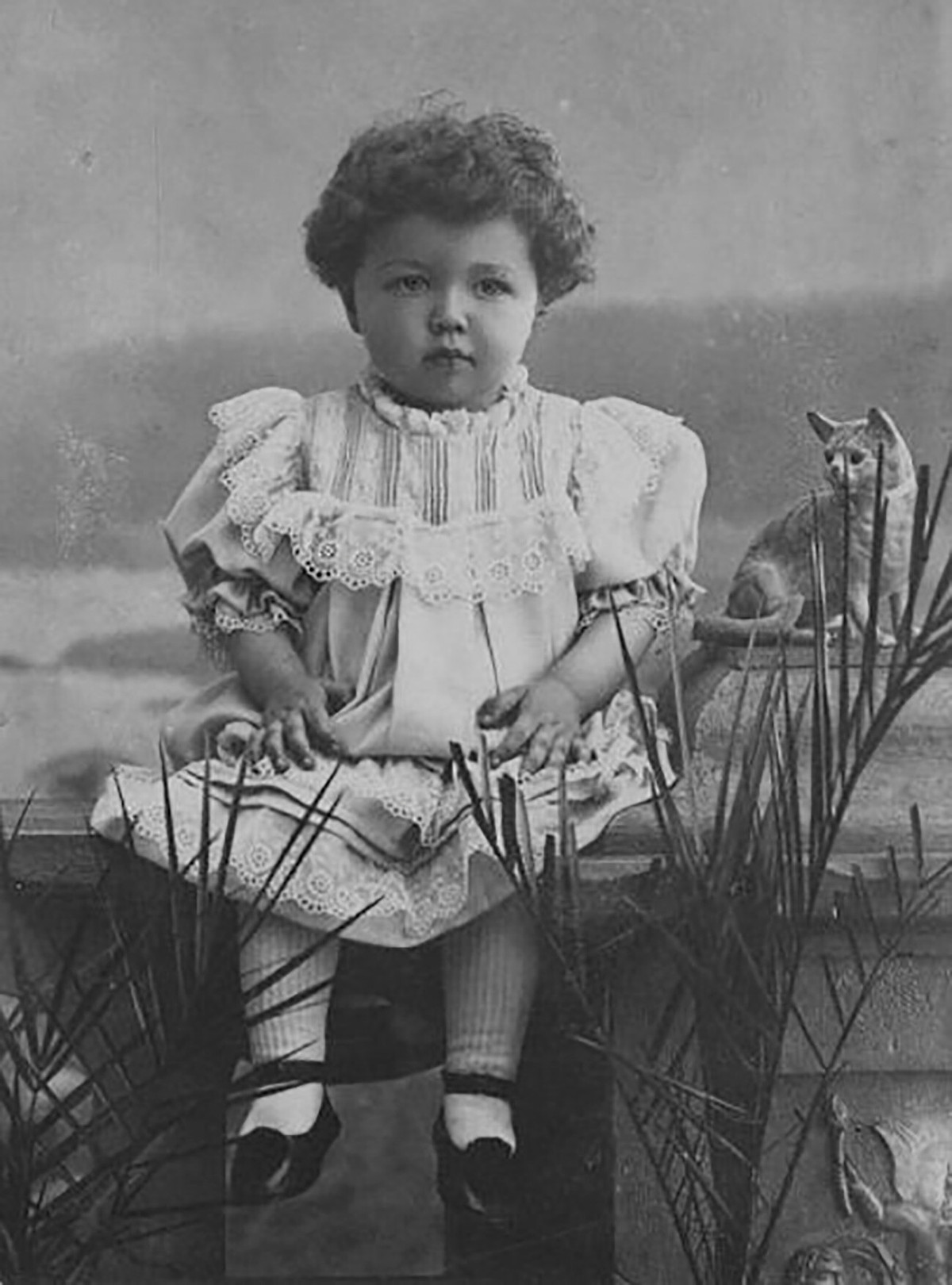 Bé gái đáng yêu ngồi chụp ảnh bên con mèo xinh xắn vào những năm 1890.