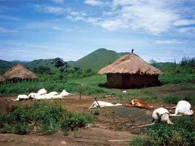 Trong điều kiện bình thường, lượng CO2 bên dưới đáy hồ Nyos không bị thoát ra ngoài. Tuy nhiên, đây là mối nguy tiềm tàng bởi vì chỉ cần một chấn động lớn thì sẽ gây ra hậu quả nghiêm trọng.