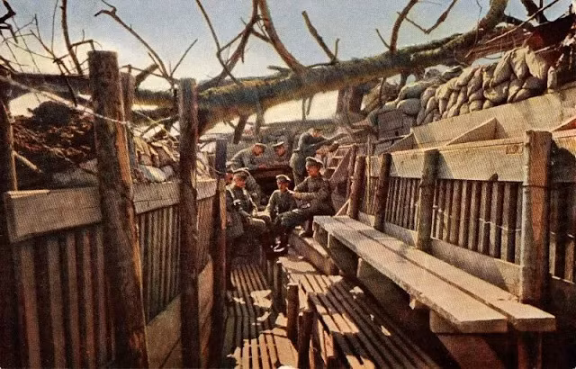 Một cây lớn đổ ngang qua một chiến hào trên chiến trường Chiến tranh thế giới 1.