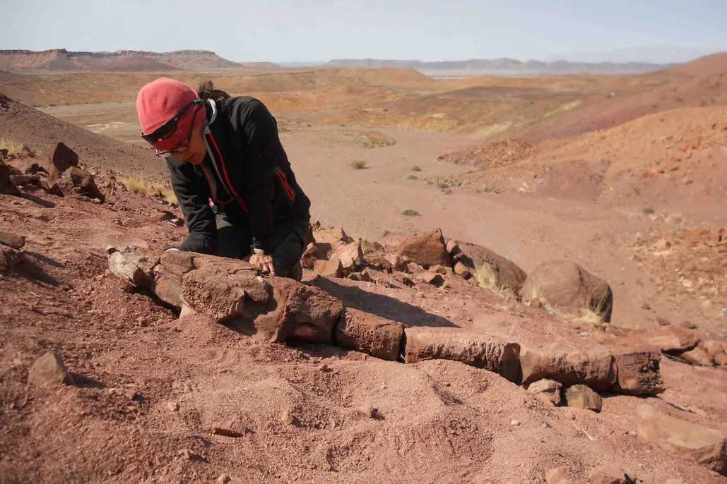 Theo các nhà nghiên cứu, Gaiasia jennyae có thể không di chuyển nhanh như nhiều sinh vật biển khác. Do không có ưu thế về tốc độ nên thủy quái cổ đại này sử dụng chiến thuật phục kích để tấn công, ăn thịt con mồi.