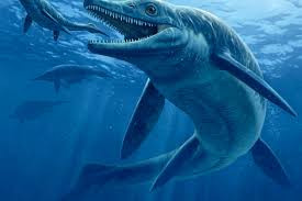 Thalattoarchon là thủy quái khổng lồ có hình dạng khá giống một con cá heo khổng lồ. Khi trưởng thành, chúng có chiều dài cơ thể khoảng 8 - 9m, phần đầu lớn và hàm răng to, sắc bén để bắt và ăn thịt con mồi.