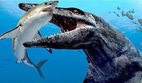 Được xem là một trong những loài "thằn lằn - cá" đời đầu, Thalattoarchon có thể tấn công những con mồi có kích thước tương đương hoặc lớn hơn nó.