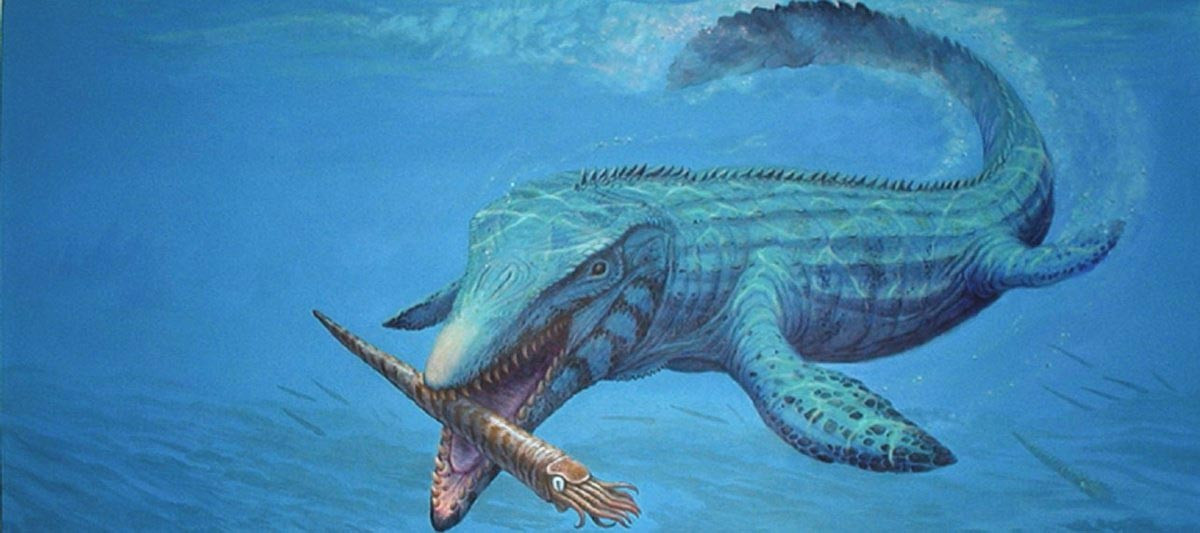 Loài Mosasaurus phân bổ rộng khắp các đại dương trên thế giới, nhưng chủ yếu ở vùng nước nông quanh châu Âu.
