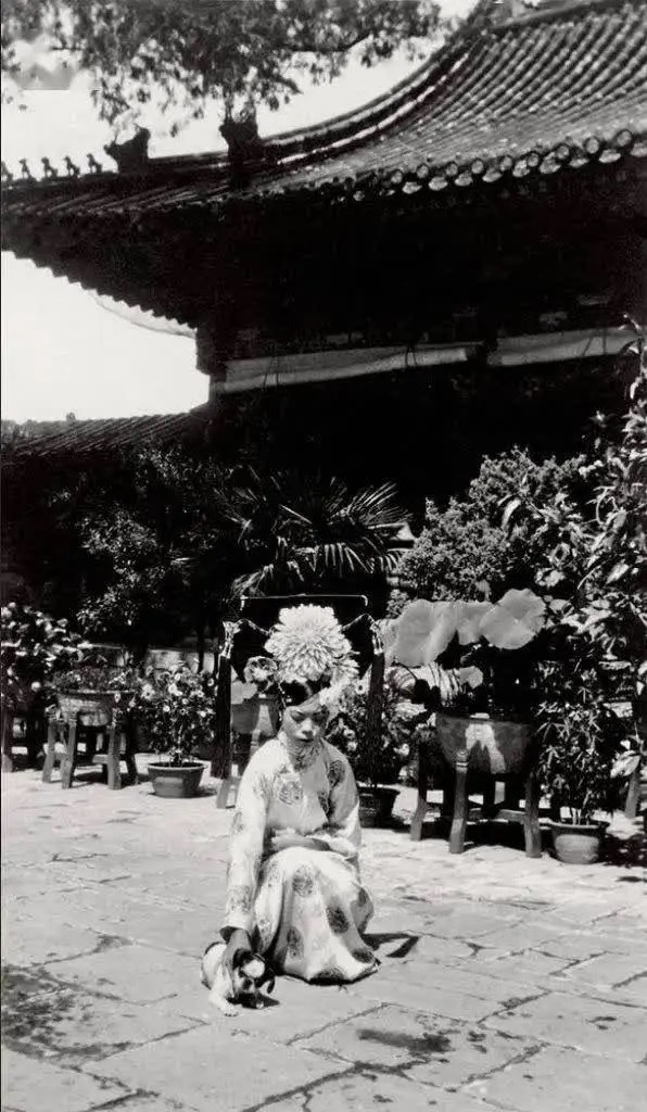 Thục phi Văn Tú - sủng phi của hoàng đế Quang Tự - chơi cùng cún cưng.