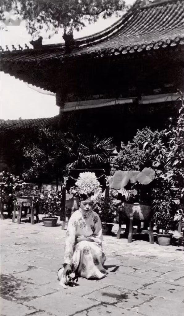 Thục phi Văn Tú - sủng phi của hoàng đế Quang Tự - chơi cùng cún cưng.