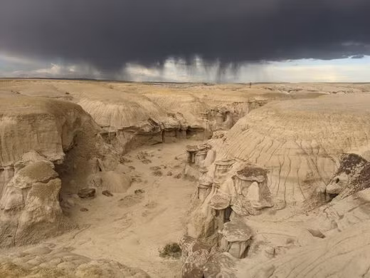 Ngoài ra, Shi-Sle-Pah cũng thu hút giới chuyên gia đến nghiên cứu về những gốc cây hóa đá và di tích hóa thạch của các sinh vật thời tiền sử từng lang thang ở đây.