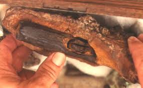 Theo lời kể của vợ chồng Emma, họ nhận thấy một mảnh gỗ nhô ra từ thứ dường như là một khối đá lâu đời. Họ quyết định mang nó về nhà. Nhiều năm sau, con trai của họ đã làm vỡ tảng đá vì tò mò bên trong có gì.