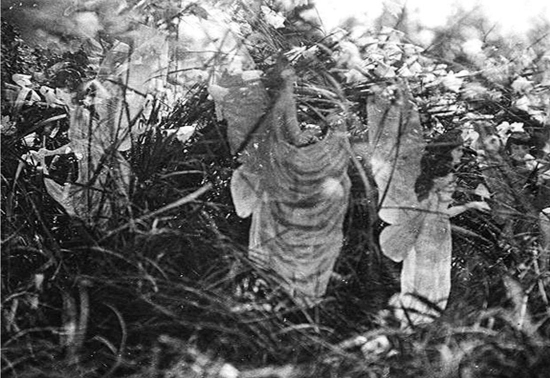 Từ đó, những bức ảnh này thu hút sự quan tâm lớn của công chúng, thậm chí là nhà văn Arthur Conan Doyle nổi tiếng nước Anh. Ông Doyle khi ấy được tạp chí Strand đặt hàng một bài viết về các nàng tiên cho số ra ngày Giáng sinh.