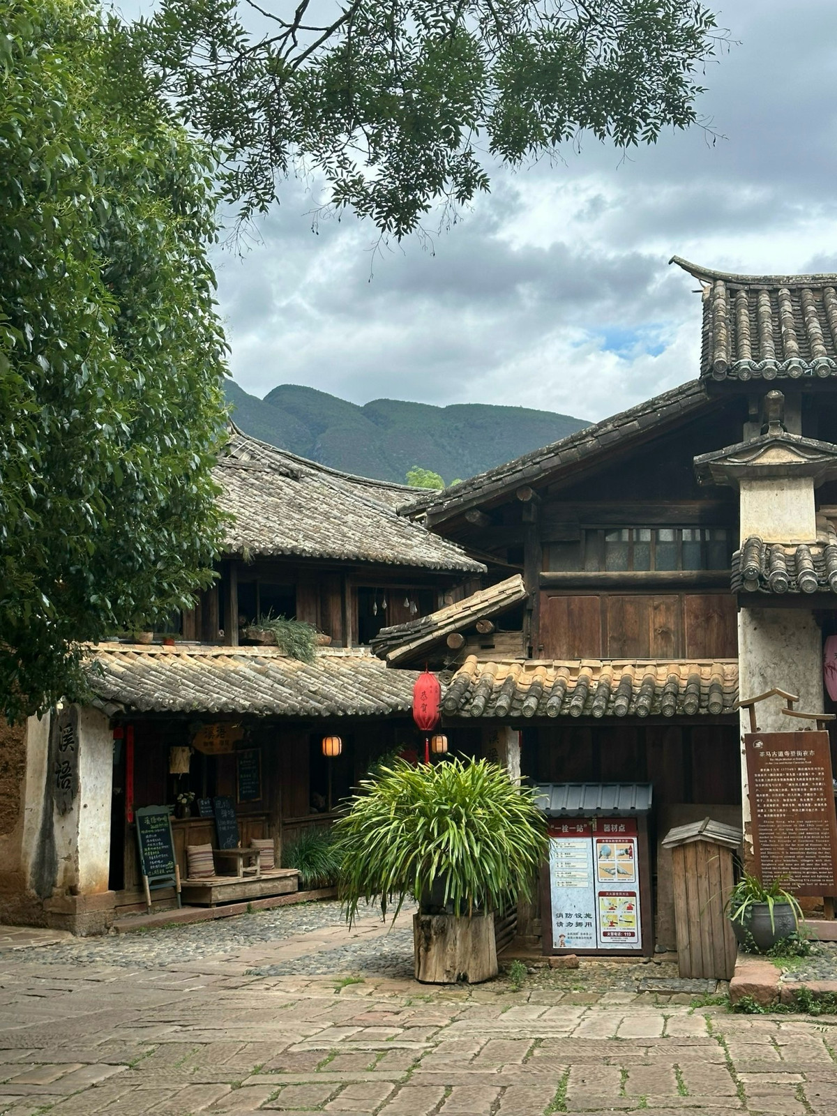 Trà Mã cổ đạo là một con đường mòn huyền thoại nằm sâu trong những dãy núi ở vùng Tứ Xuyên và Vân Nam. Từng là một phần của "Con đường tơ lụa", Trà Mã cổ đạo được đặt tên theo hình thức vận chuyển hàng hóa truyền thống, nơi người ta sử dụng ngựa và các phu kỵ để vận chuyển sản phẩm chủ yếu là trà.