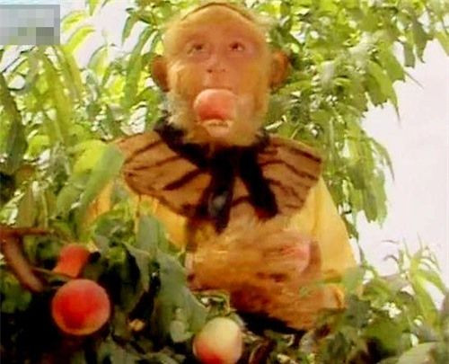 Vườn đào tiên của Tây Vương Mẫu có 3 loại. Trong đó, loại đào đầu tiên có hoa rất nhỏ, quả cũng nhỏ, 3.000 năm mới đơm hoa kết trái một lần. Người ăn loại đào tiên này thì thân thể kiện khang nhẹ nhàng, trí huệ khai mở, thành tựu tiên đạo.