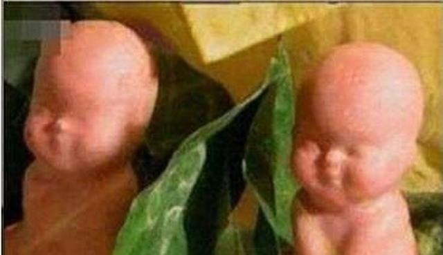 Qua những mô tả trên của Ngô Thừa Ân, các nhà nghiên cứu nhận định quả đào tiên xếp trên quả nhân sâm trong việc giúp trường sinh bất tử. Do vậy, rất nhiều vị thần muốn được Tây Vương Mẫu ban cho một quả đào tiên trong hội bàn đào nhưng không phải ai cũng được mời tham dự buổi hội yến này.