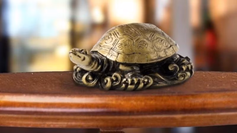 Theo các chuyên gia phong thủy, tượng rùa sứ và rùa gỗ nên đặt ở hướng Đông. Rùa đá và rùa gốm nên đặt ở hướng Tây Nam, Đông Bắc.