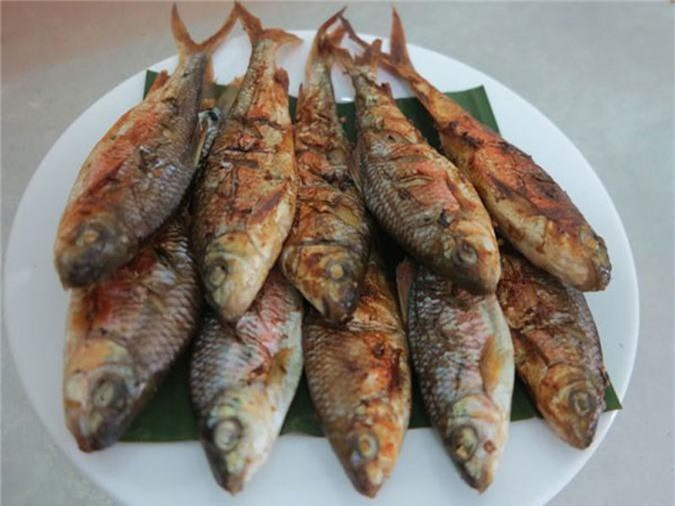 Cá mát sông Giăng bắt về thường được đem kho tương hoặc nướng. Đây là món ăn dân dã thơm ngon nức tiếng ở xứ Nghệ. Ảnh minh họa.