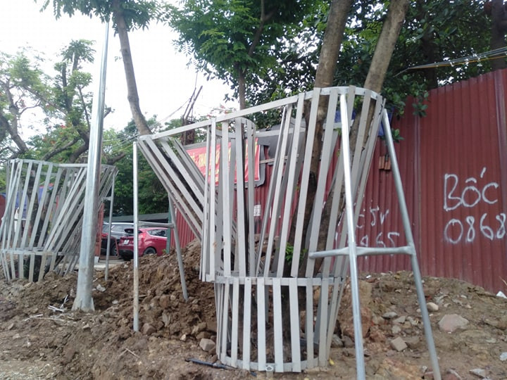 Hiện tại trên địa bàn có trên 3.800 cây sưa, trong đó có khoảng 700 cây sưa đỏ trồng rải rác quanh các điểm tại Hà Nội. Cây sưa đỏ thường gọi trắc thối hay huê mộc vàng, là loài cây quý hiếm đã bị nghiêm cấm buôn bán trái phép vì mục đích thương mại.