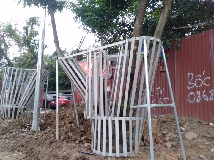 Hiện tại trên địa bàn có trên 3.800 cây sưa, trong đó có khoảng 700 cây sưa đỏ trồng rải rác quanh các điểm tại Hà Nội. Cây sưa đỏ thường gọi trắc thối hay huê mộc vàng, là loài cây quý hiếm đã bị nghiêm cấm buôn bán trái phép vì mục đích thương mại.