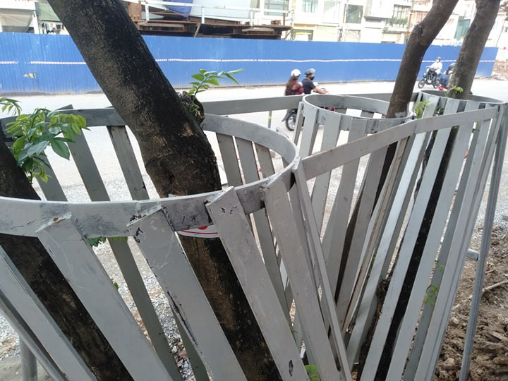 Tuỳ vào độ phát triển và phân nhánh, gốc mà từng cây sưa được thiết kế "áo giáp" riêng. 