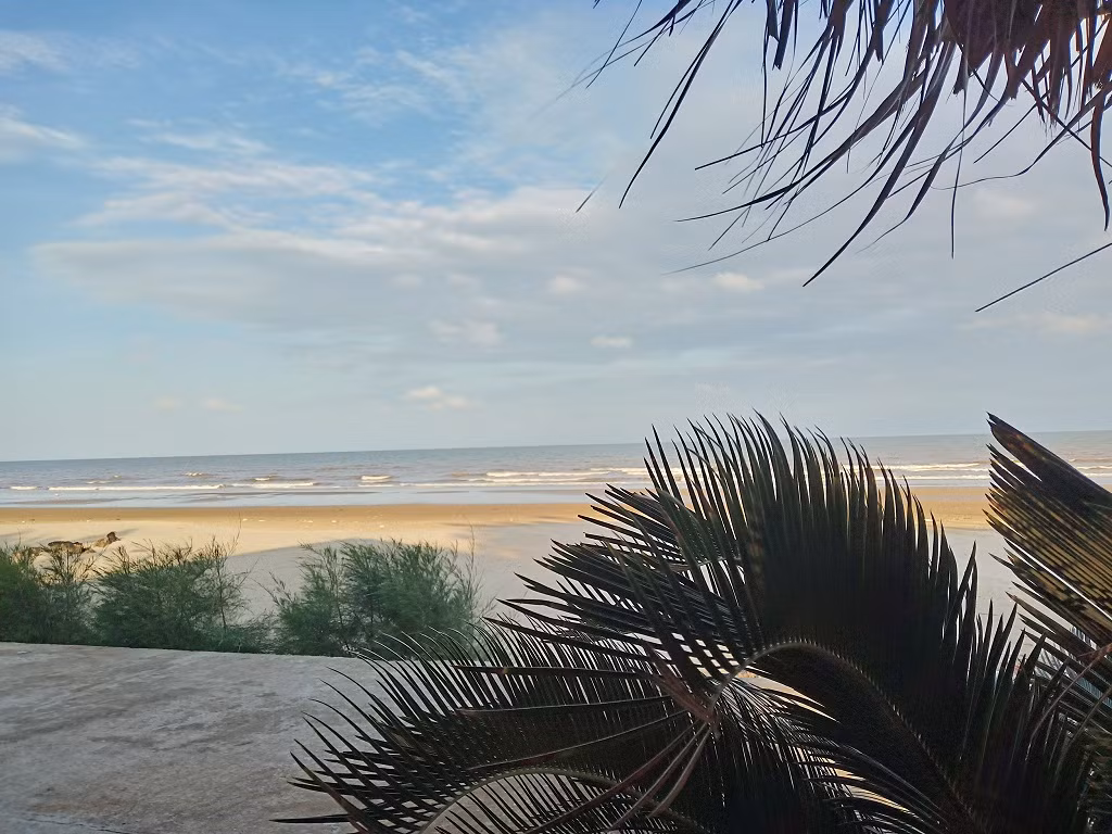 Biển Quảng Lợi, Quảng Xương được khách du lịch đánh giá sạch, đẹp. Cũng vì đó mà có dư luận cho rằng, tỉnh Thanh Hóa bất chấp ra quyết định trái luật, phá hết rừng phòng hộ để Công ty Soto thực hiện bằng được dự án du lịch