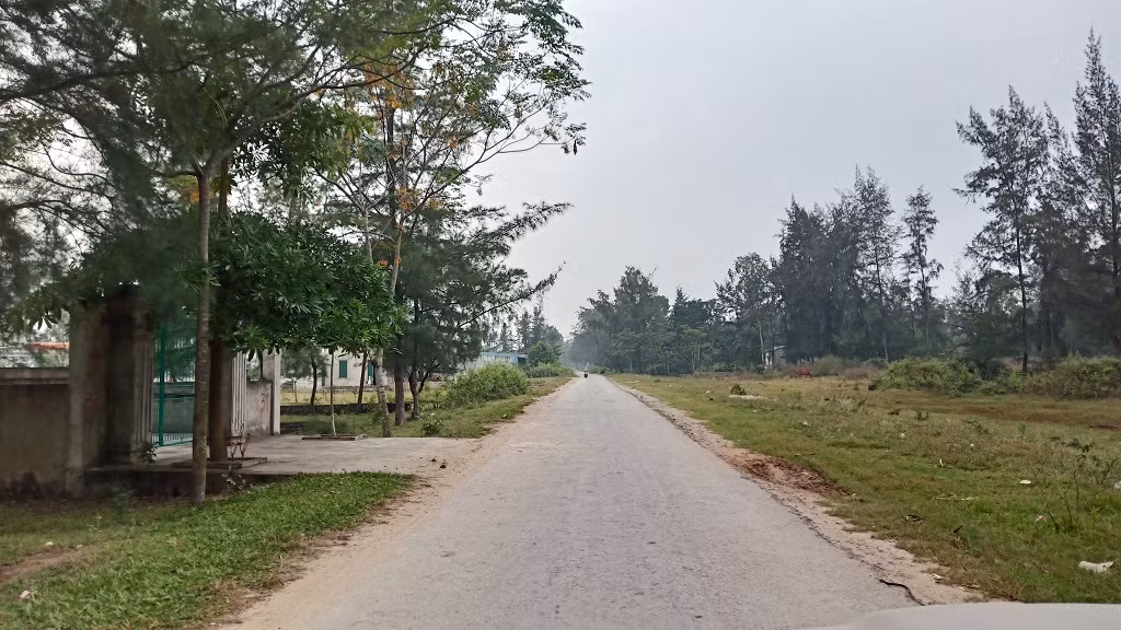 Sau khi xóa sổ rừng phòng hộ bằng văn bản, tỉnh Thanh Hóa giao công ty TNHH Soto chuyển mục đích sử dụng rừng sang mục đích khác với tổng diện tích 32,39 ha. Tổng kinh phí mà SoTo phải nộp tiền ủy thác trồng rừng thay thế là 1.510,99 triệu đồng ( một tỷ năm trăm mười triệu chín trăm chín mươi chín ngàn đồng).