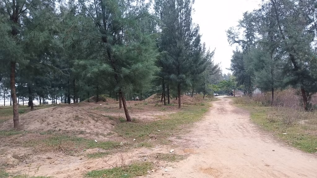 Diện tích rừng phòng hộ được quy hoạch tại huyện Quảng Xương là 467,70 ha. Trong đó, diện tích hiện tại đã có rừng là 268,70 ha, diện tích chưa có rừng là 199 ha(số liệu theoQuyết định số 2755/2007/QĐ-UBND về việc Phê duyệt kết quả rà soát, quy hoạch 3 loại rừng tỉnh Thanh Hóa giai đoạn 2006-2015chủ tịch UBND tỉnh Thanh Hóa Nguyễn Văn Lợi ký ngày 12/9/2007).