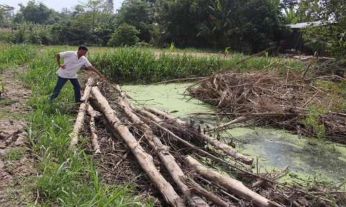 Đòi quan hệ bất thành, thanh niên 20 tuổi sát hại nữ MC Doi quan he bat thanh, thanh nien 20 tuoi sat hai nu MC