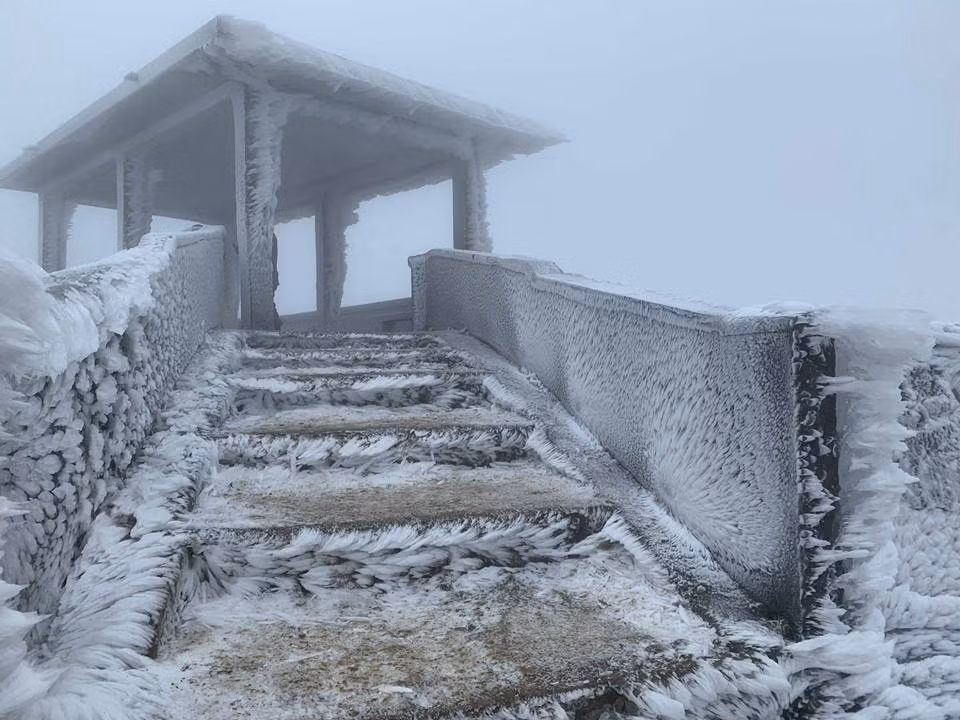 Theo ghi nhận của chúng tôi, vào 7h30 sáng 31/12, toàn bộ khu vực đỉnh núi Mẫu Sơn (Lạng Sơn) bị lớp băng giá bao phủ dày đặc, những giọt nước bị đọng lại theo chiều gió tạo nên cảnh quan đẹp mắt.