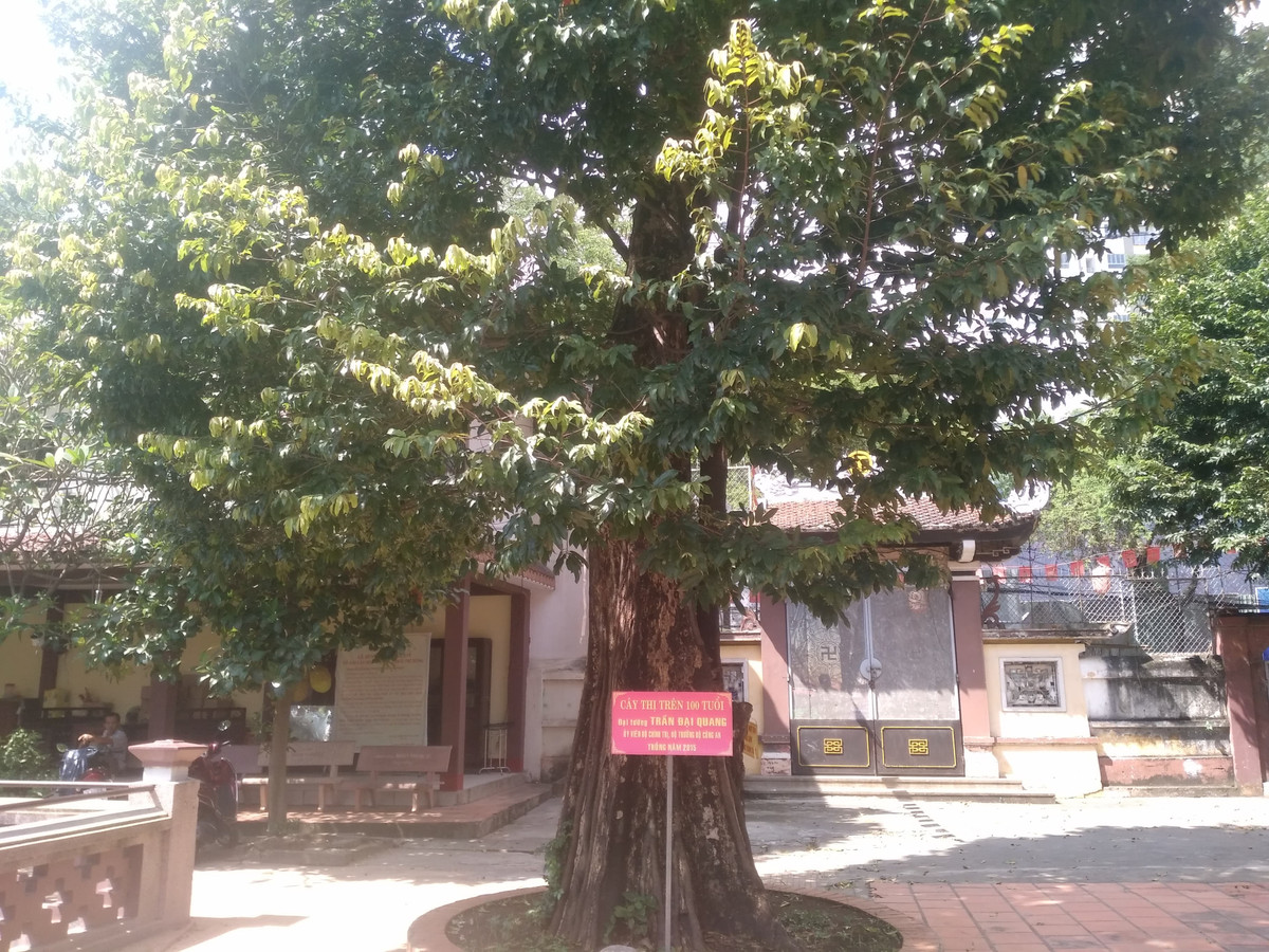 Cuc doc ngoi chua Mot Cot co mot khong hai o Sai Gon-Hinh-11