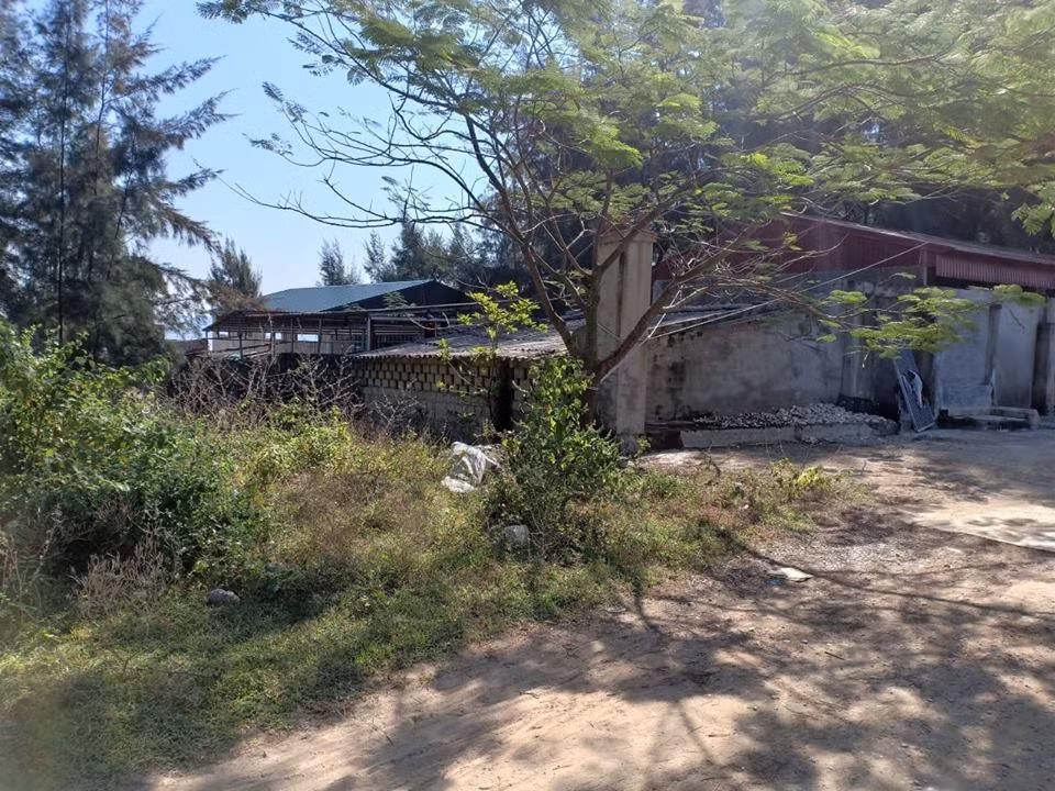 Người dân địa phương cho biết, nhiều người còn ngang nhiên chia lô, bán đất trên đất rừng phòng hộ ven biển Quảng Xương.