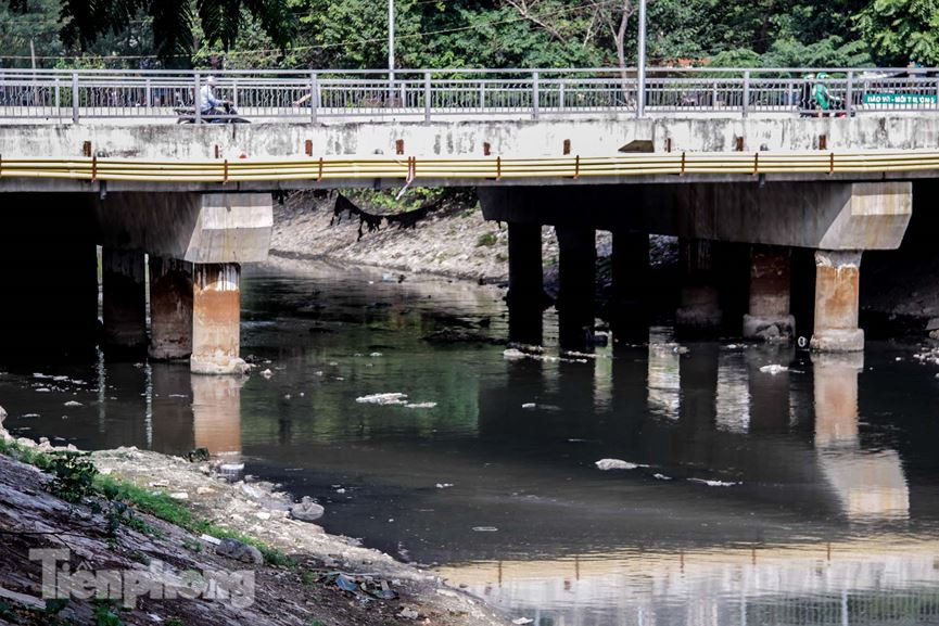 Liên quan đến ý tưởng, chủ trương muốn làm 'sống lại' sông Tô Lịch, tại các cuộc họp gần đây nhiều ý kiến đã được đưa ra. Tại buổi làm việc giữa Bộ Nông nhiệp và Phát triển nông thôn và Hà Nội ngày 16/2/2017, Bí thư Thành uỷ Hà Nội Hoàng Trung Hải khi đề cập đến vấn đề môi trường đã đồng thuận với nhận định cần tập trung cải tạo, làm “sống lại” 4 dòng sông phía Tây thành phố gồm: Tích, Đáy, Nhuệ, Tô Lịch.