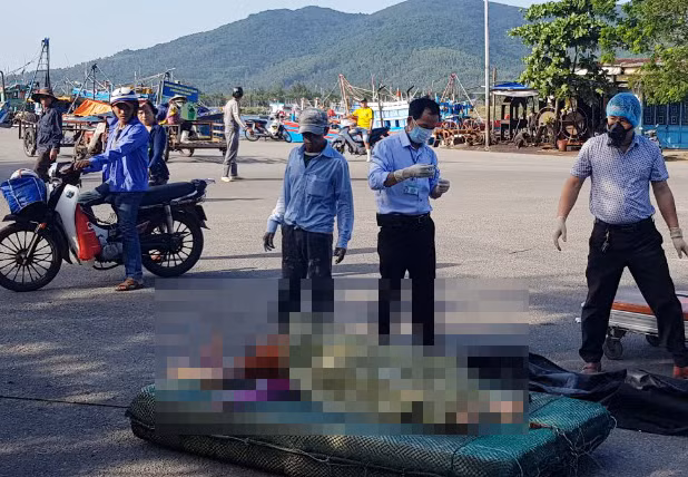 Hoang hon phat hien thi the nguoi phu nu noi tren bien