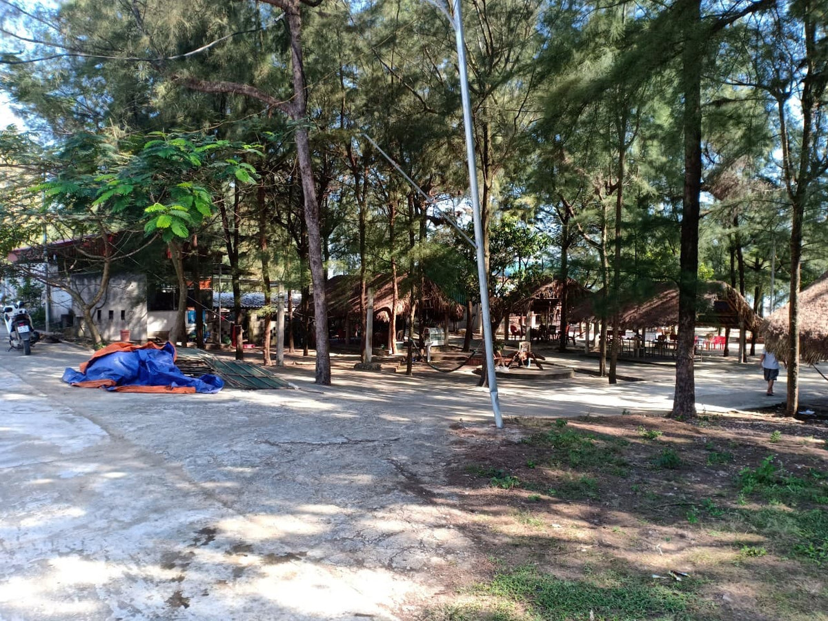 Thanh Hoa xoa rung phong ho lam du lich: Giao du an cho cong ty 