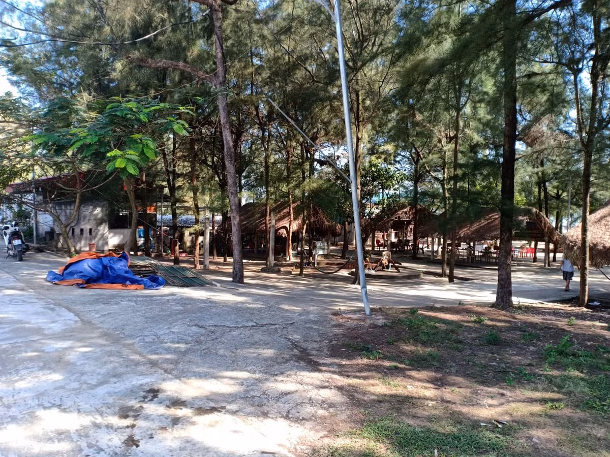 Thanh Hoa xoa rung phong ho lam du lich: Giao du an cho cong ty 