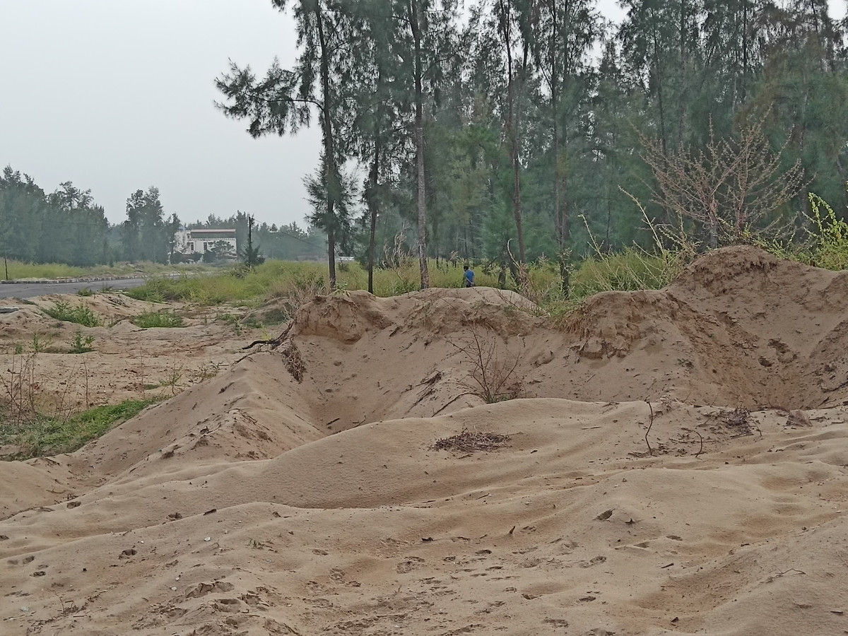 Thanh Hóa xóa rừng phòng hộ để làm dự án du lịch: Liên tiếp những văn bản khó hiểu - Hình 4 Thanh Hoa xoa rung phong ho de lam du an du lich: Lien tiep nhung van ban kho hieu-Hinh-4